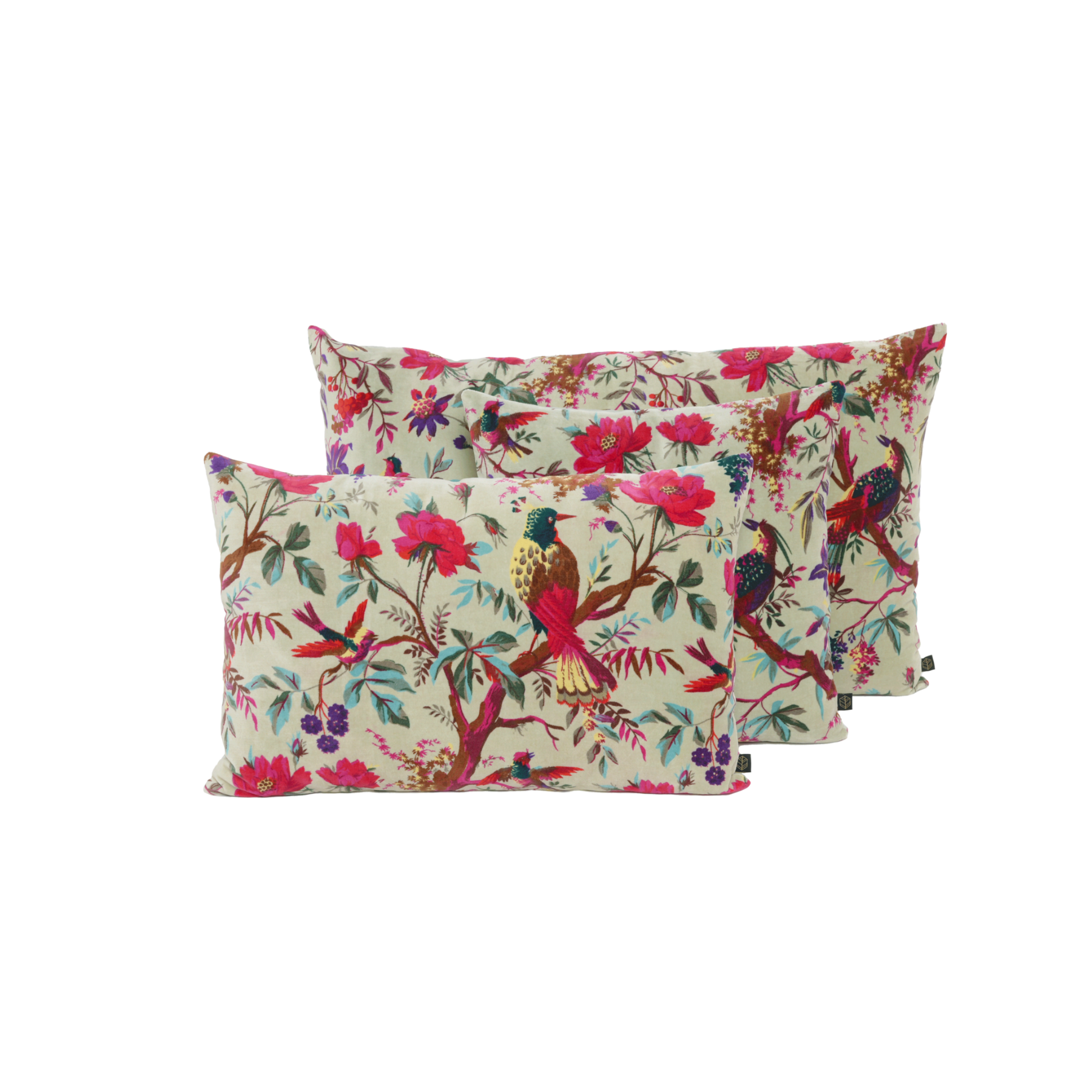 Housse de Coussin Haomy - Birdy