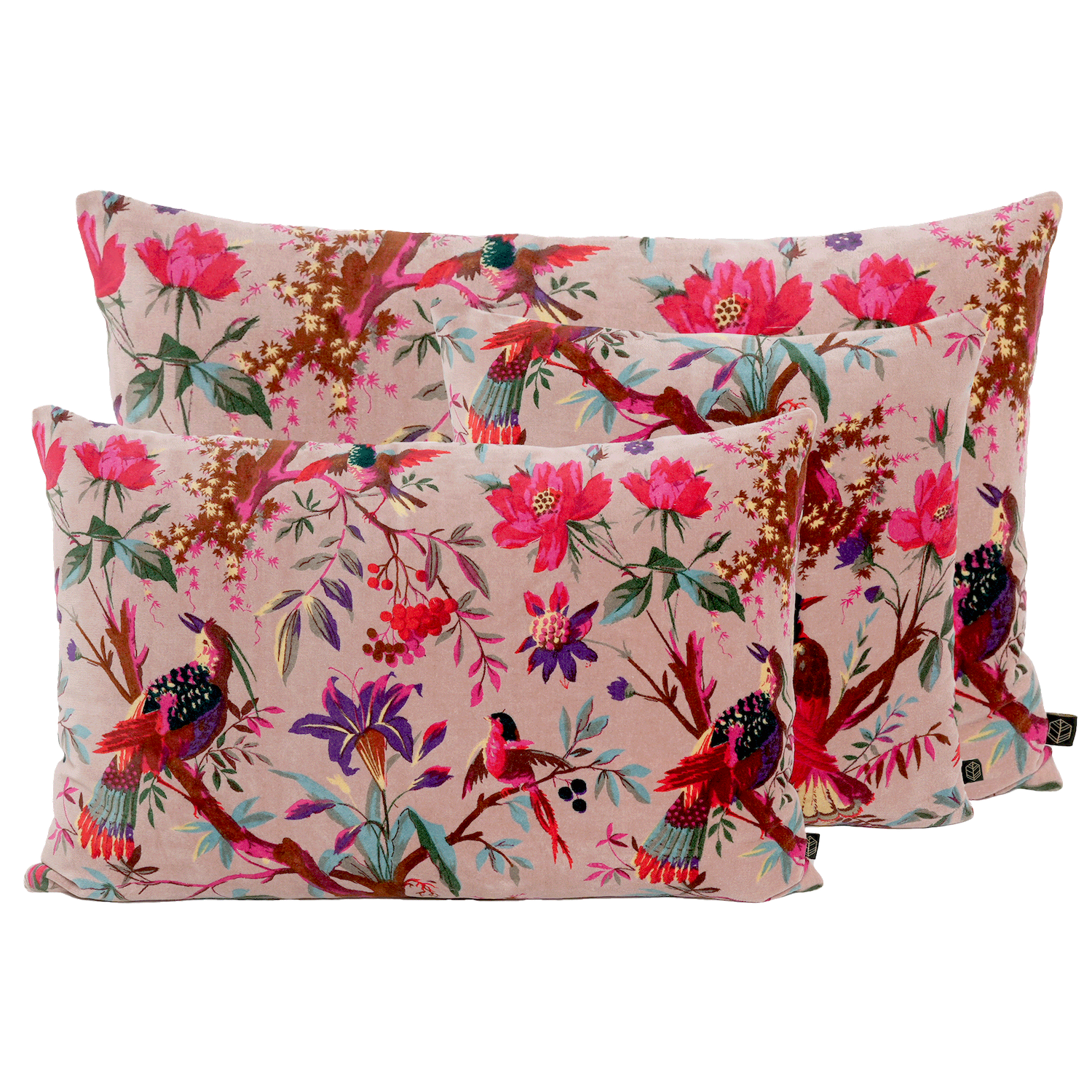 Housse de Coussin Haomy - Birdy