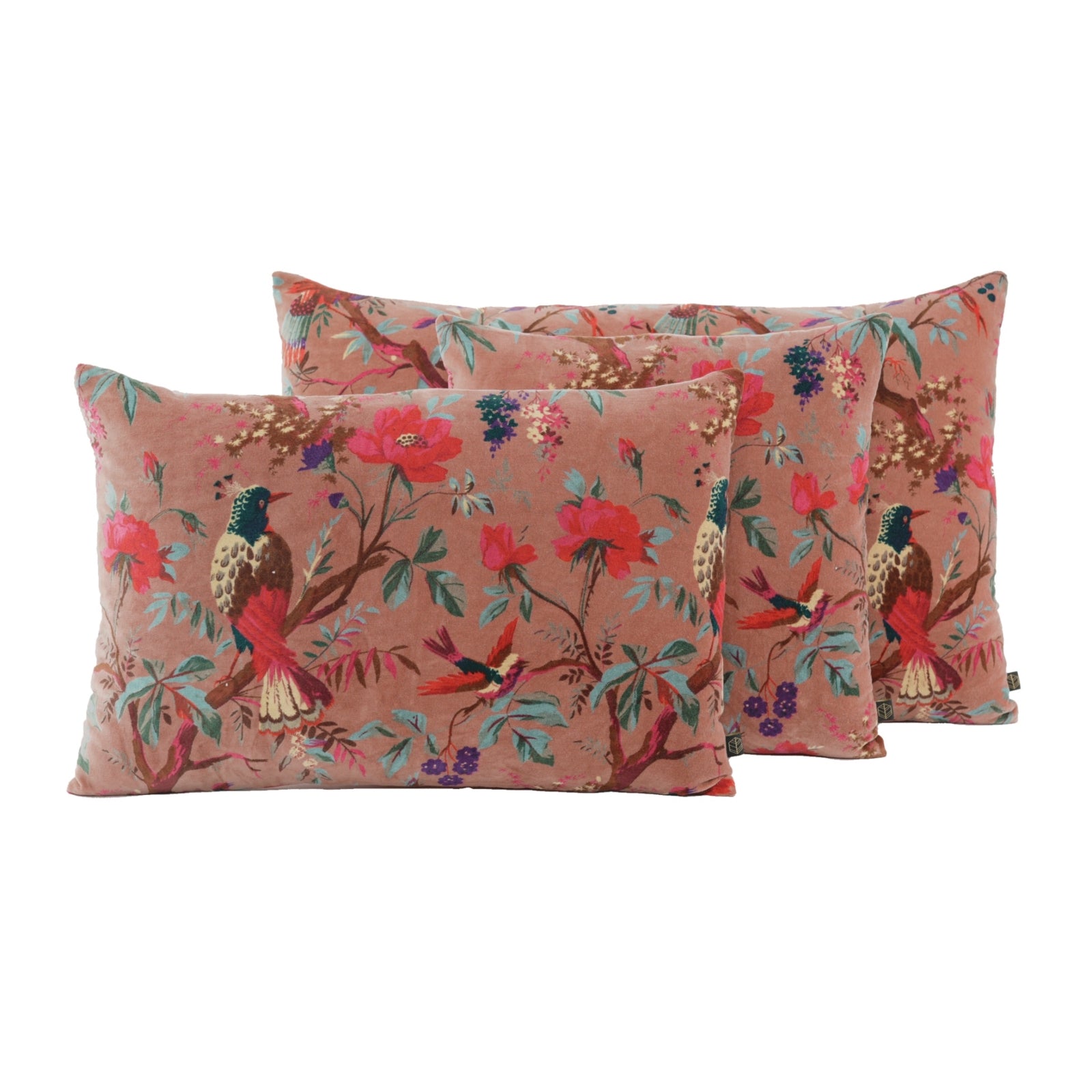 Housse de Coussin Haomy - Birdy