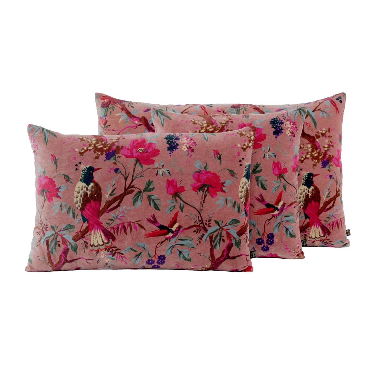 Housse de Coussin Haomy - Birdy