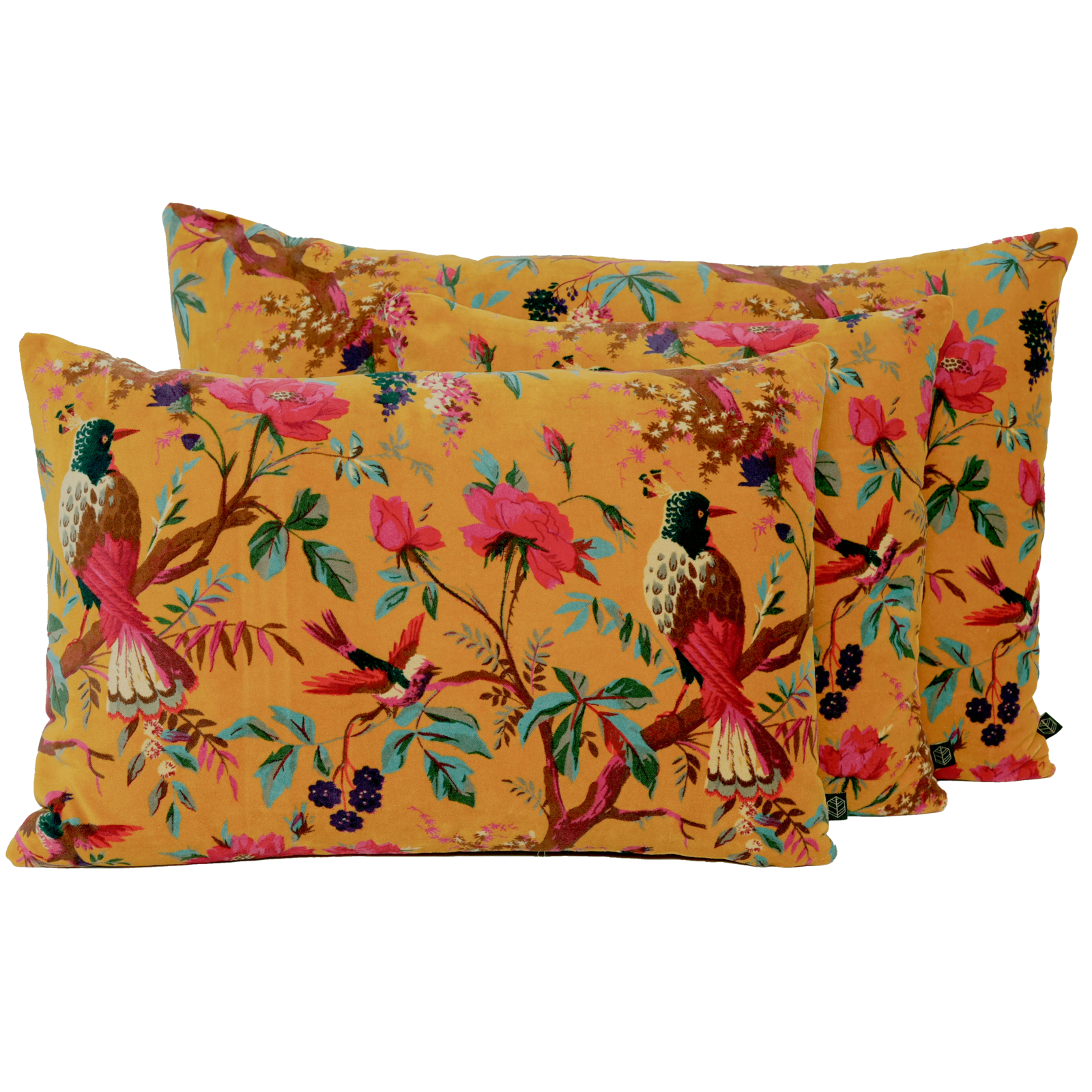 Housse de Coussin Haomy - Birdy