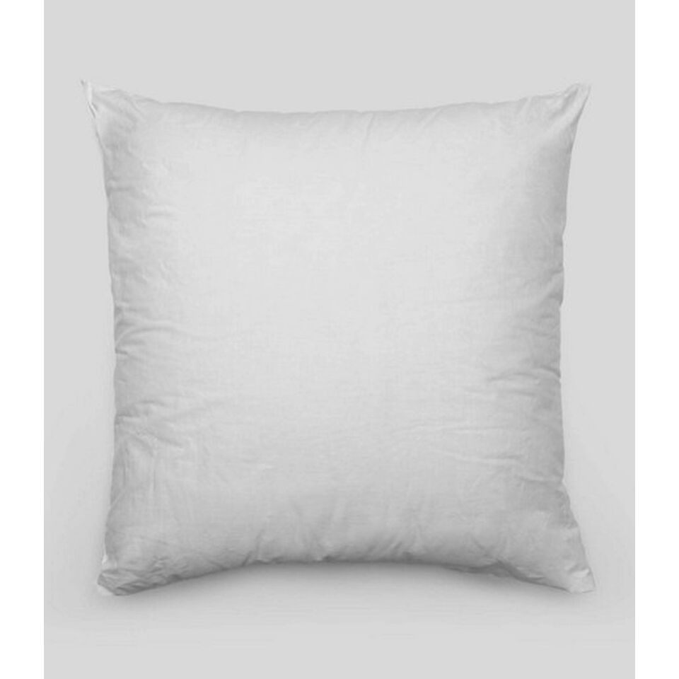 Intérieur de coussin Haomy