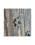 Porte Anay - Teck Recyclé - 112x10x207cm