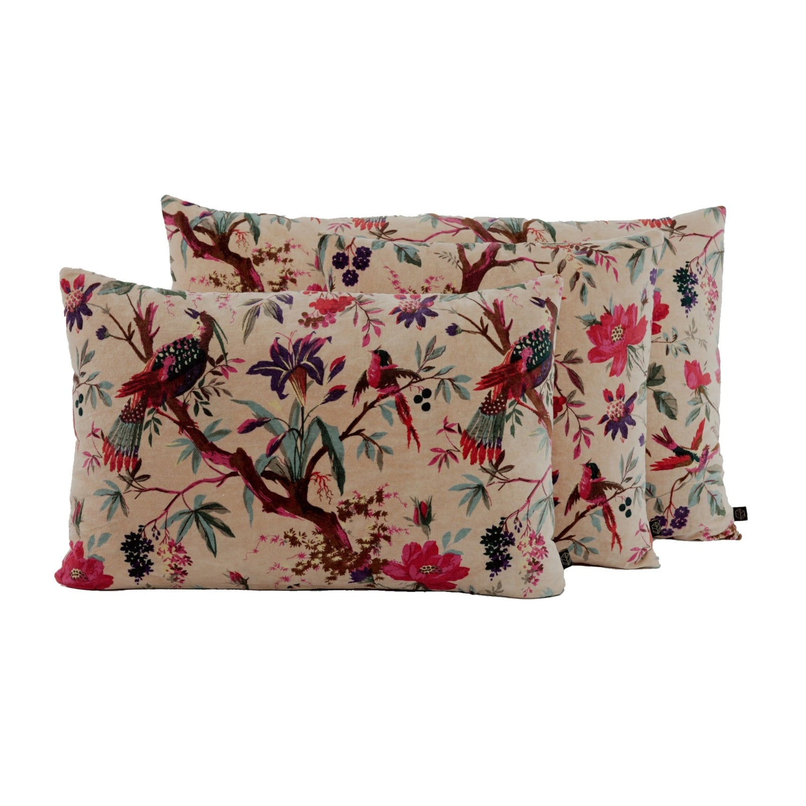 Housse de Coussin Haomy - Birdy