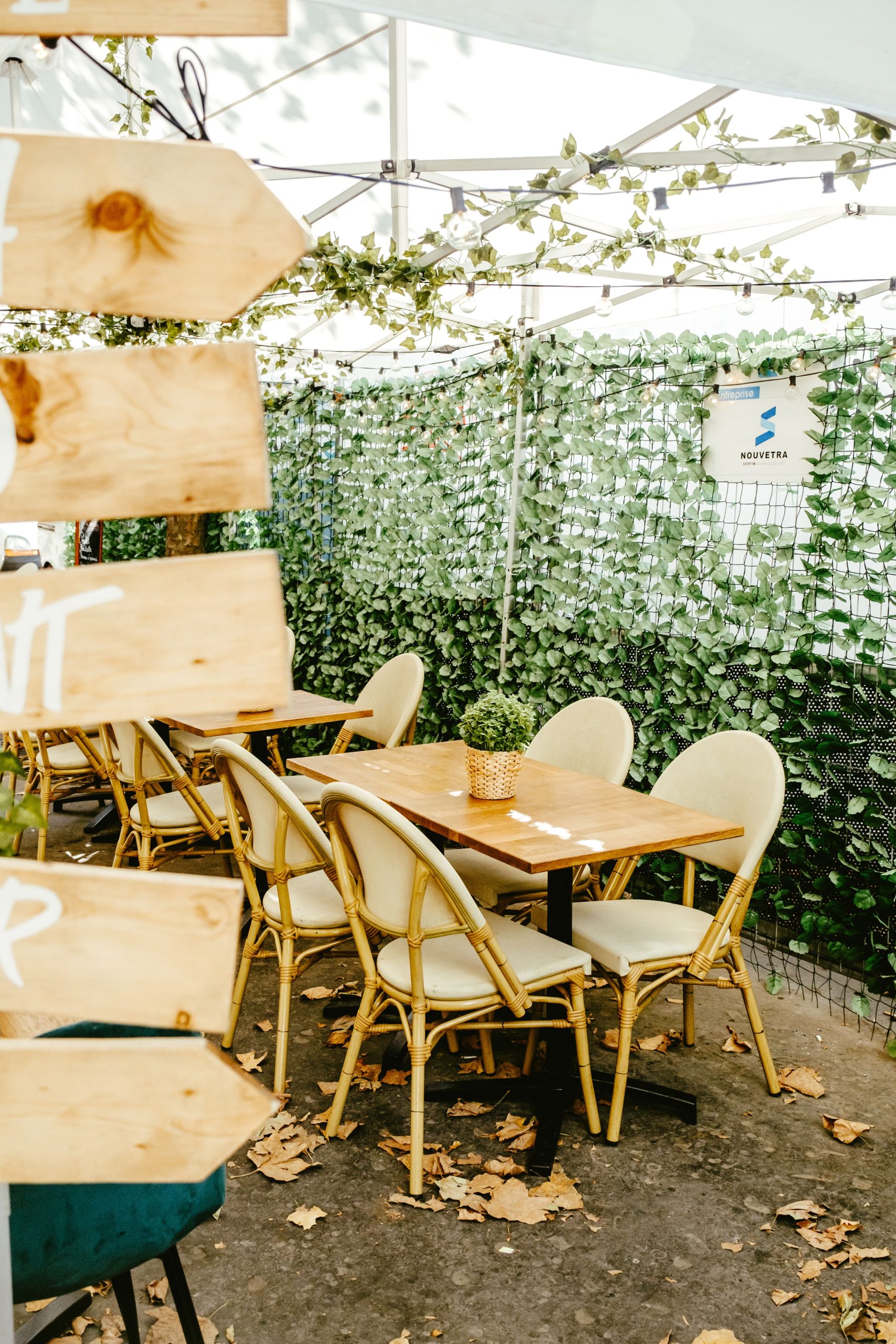 Combien de temps dure vraiment une chaise de bistrot en bois ?