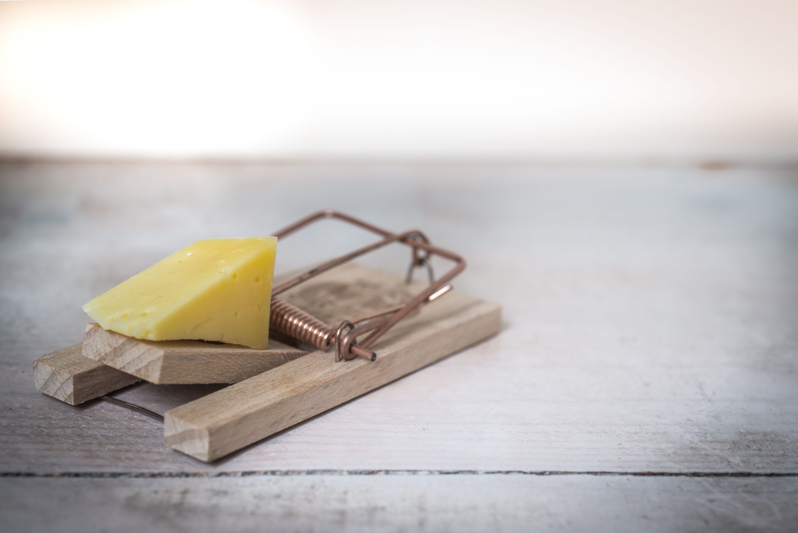 Piège à souris en bois avec fromage surface rustique