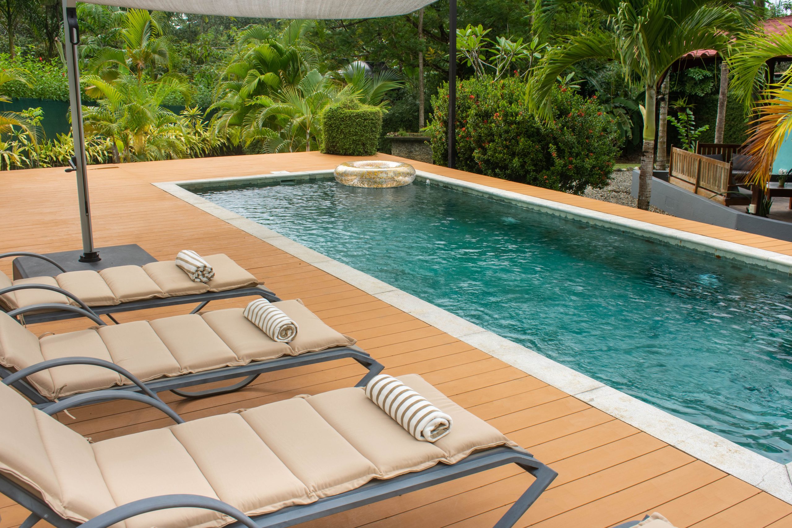 Transat élégant au bord de la piscine avec verdure