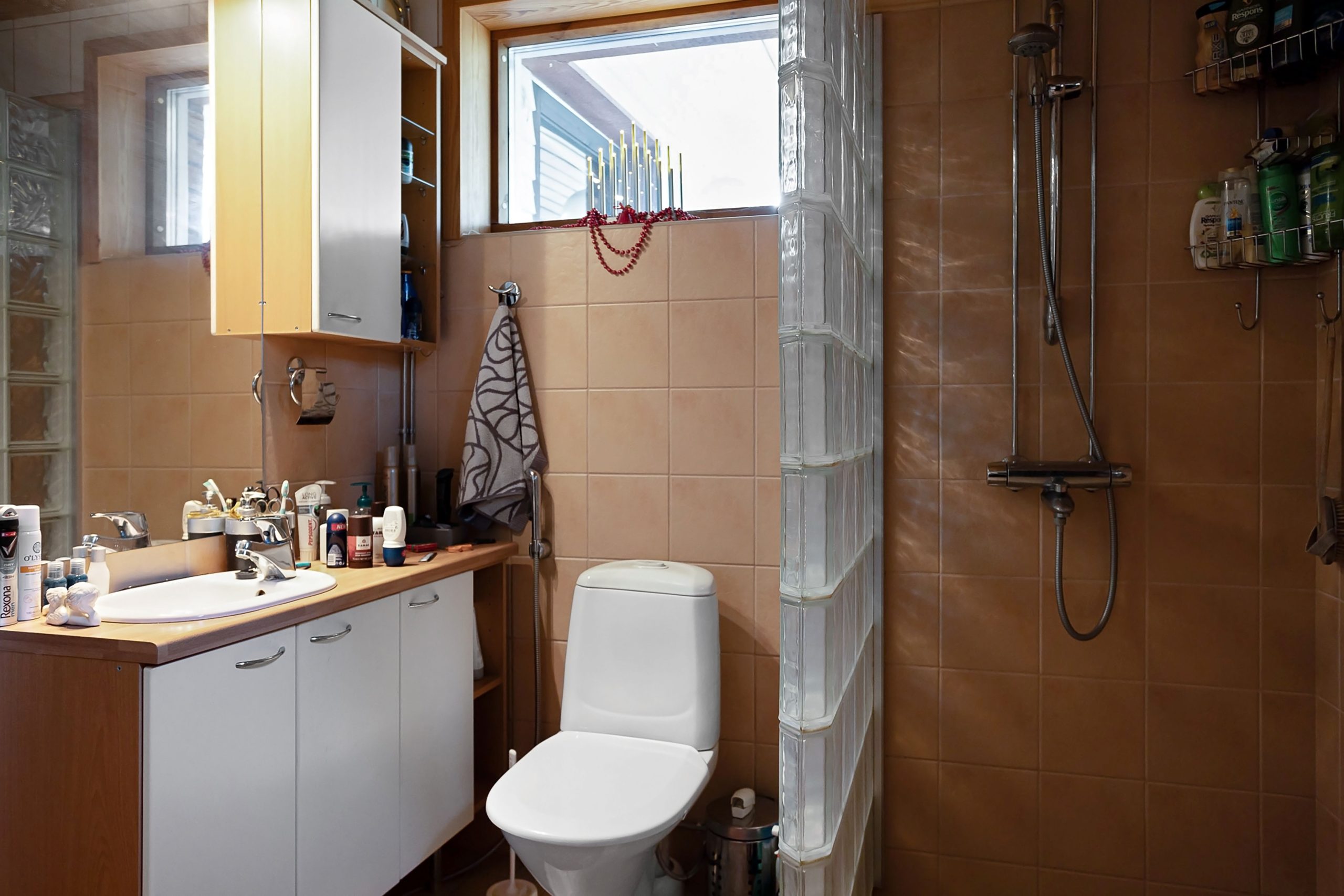 Douche fenêtre lumière naturelle salle de bain contemporaine