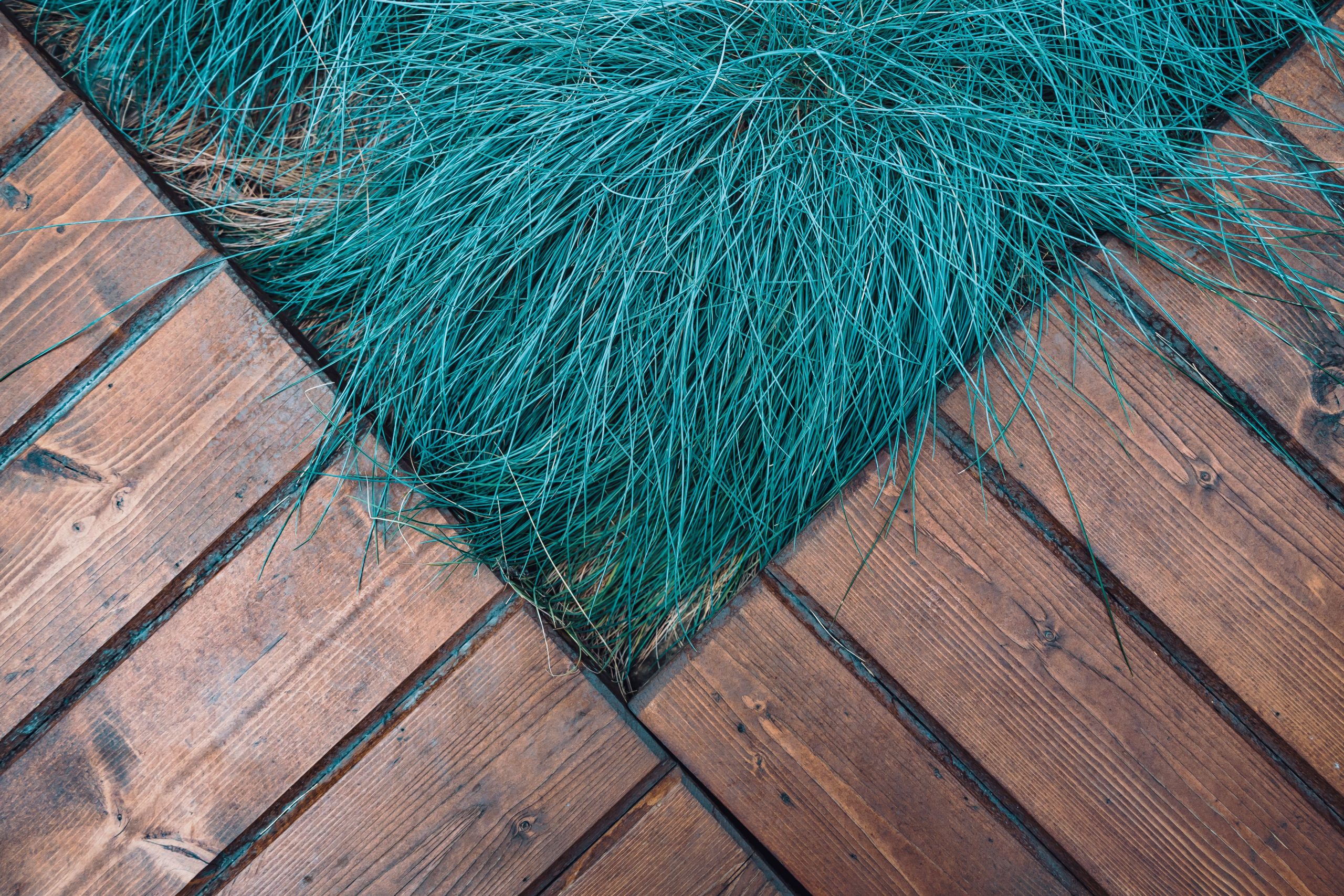 Herbe bleue et terrasse bois rustique