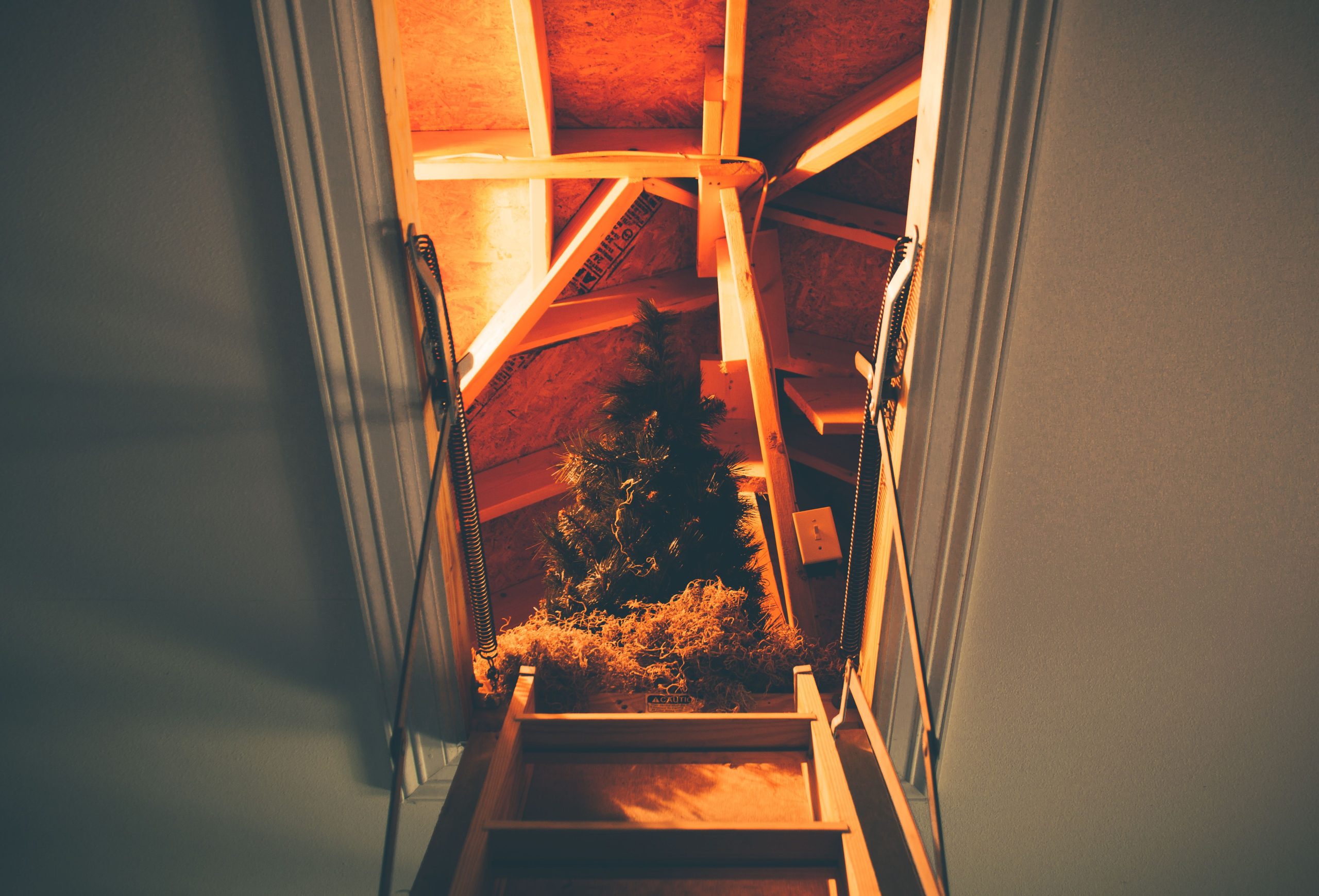 Sapin de Noël aperçu depuis l'accès aux combles